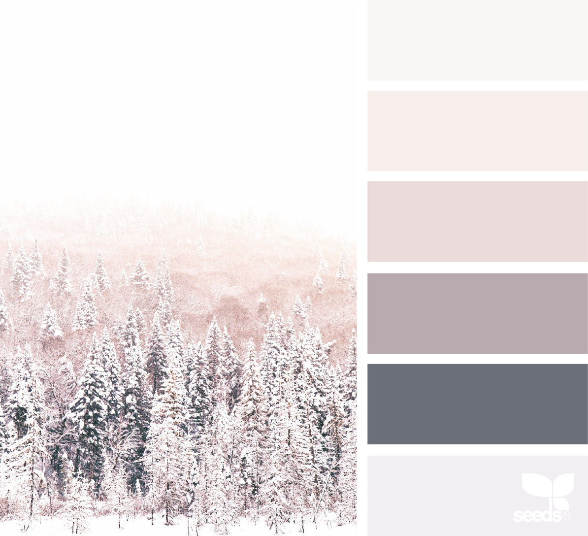Pastel color pallet inspired by snowy trees