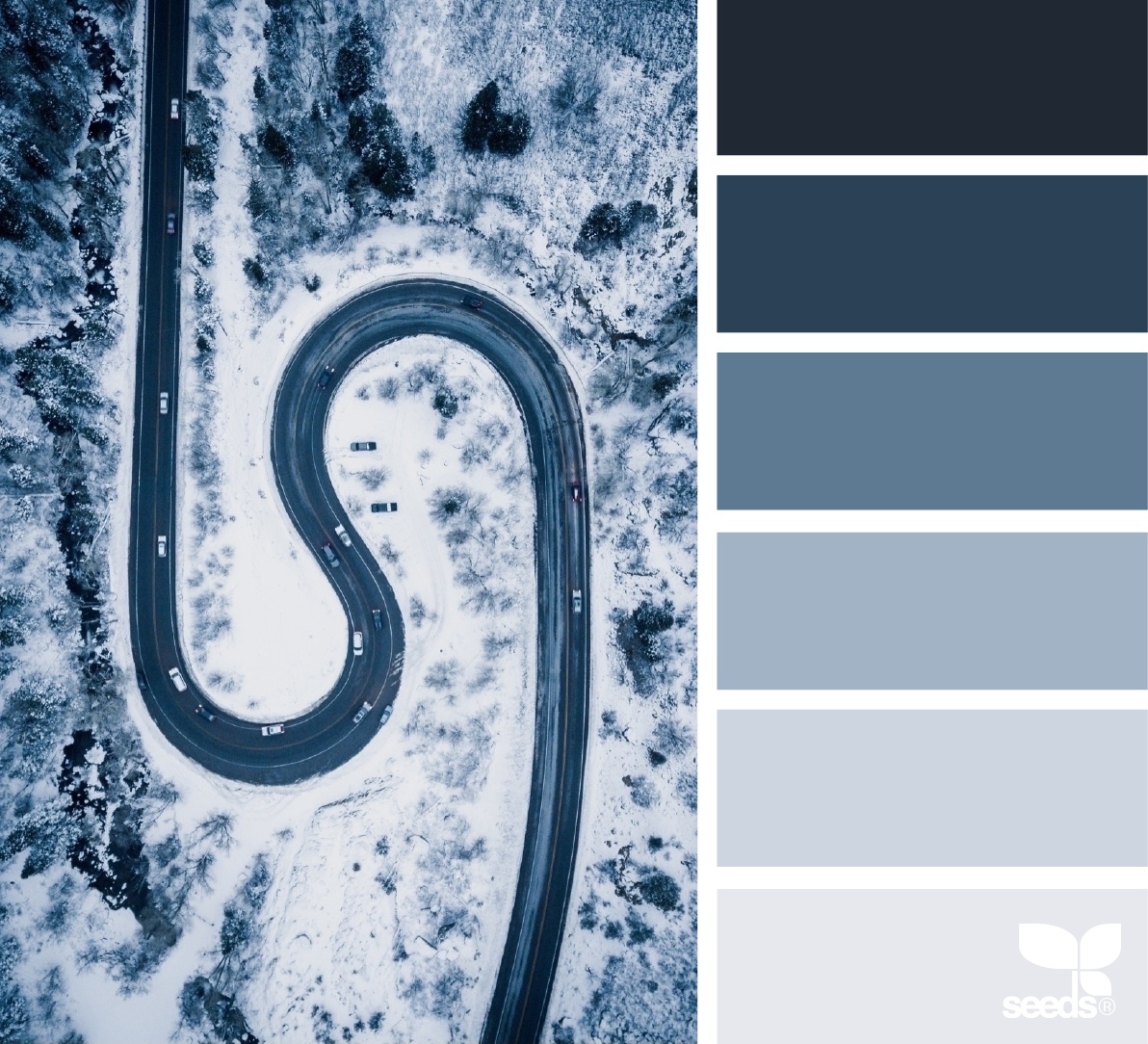 Color pallet inspired by a snowy road