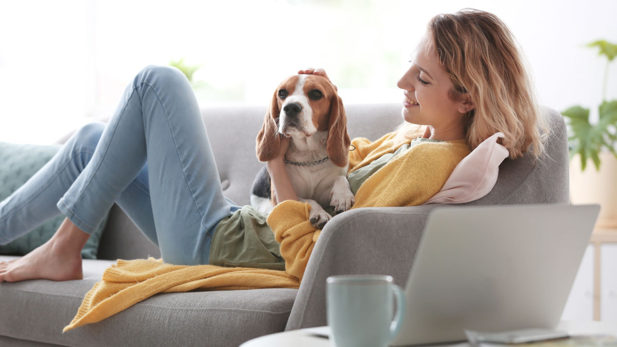 Woman petting with her dog on the couch.